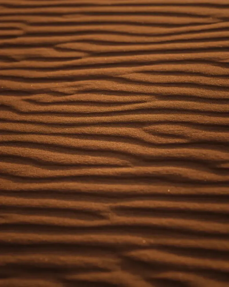 Print 10