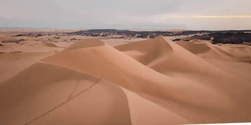 Sahara 35