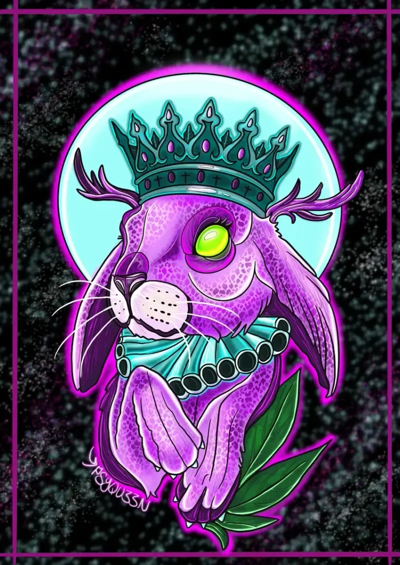 Rabbit